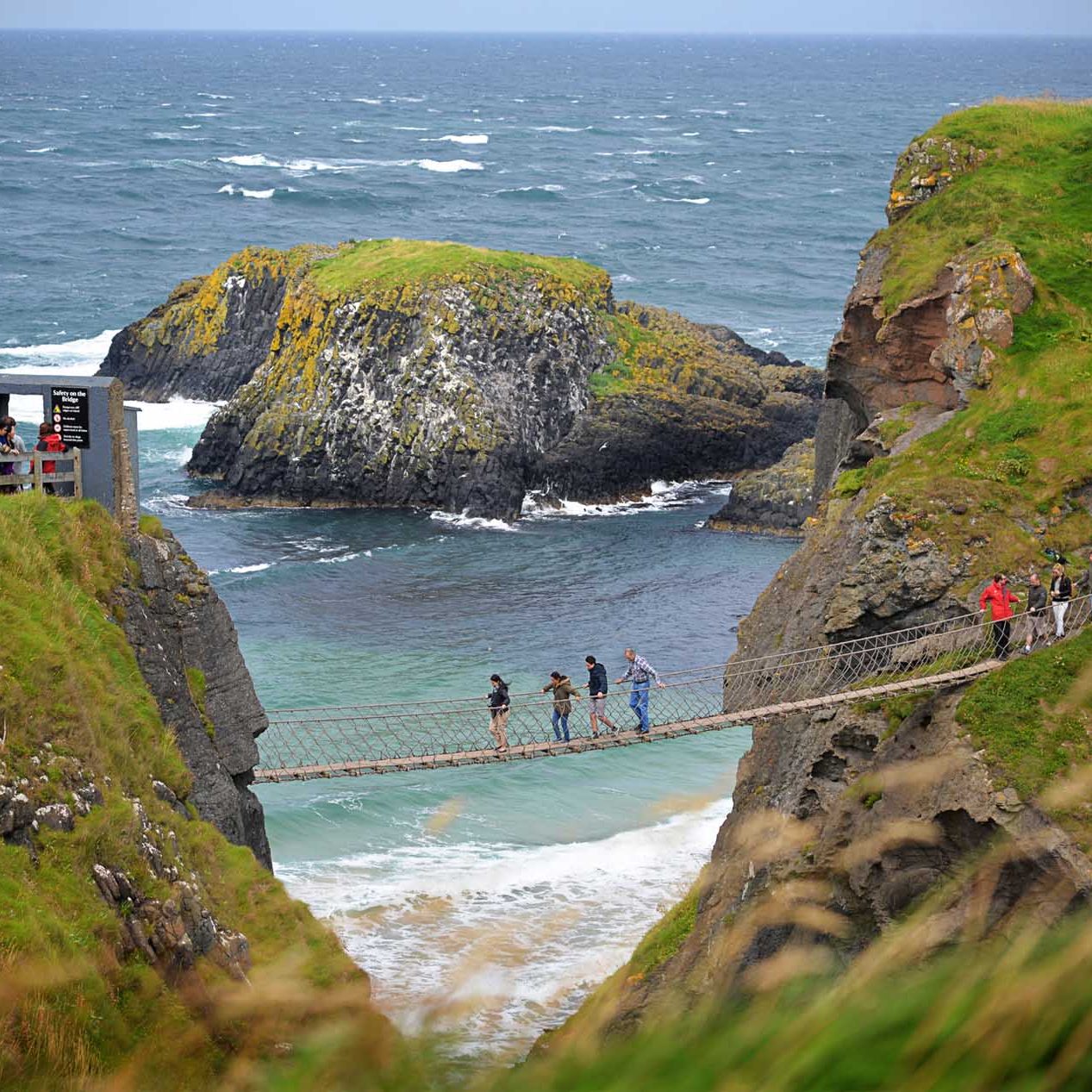 Carrick-a-Rede Rope Bridge Northern Ireland Belfast Private Tours